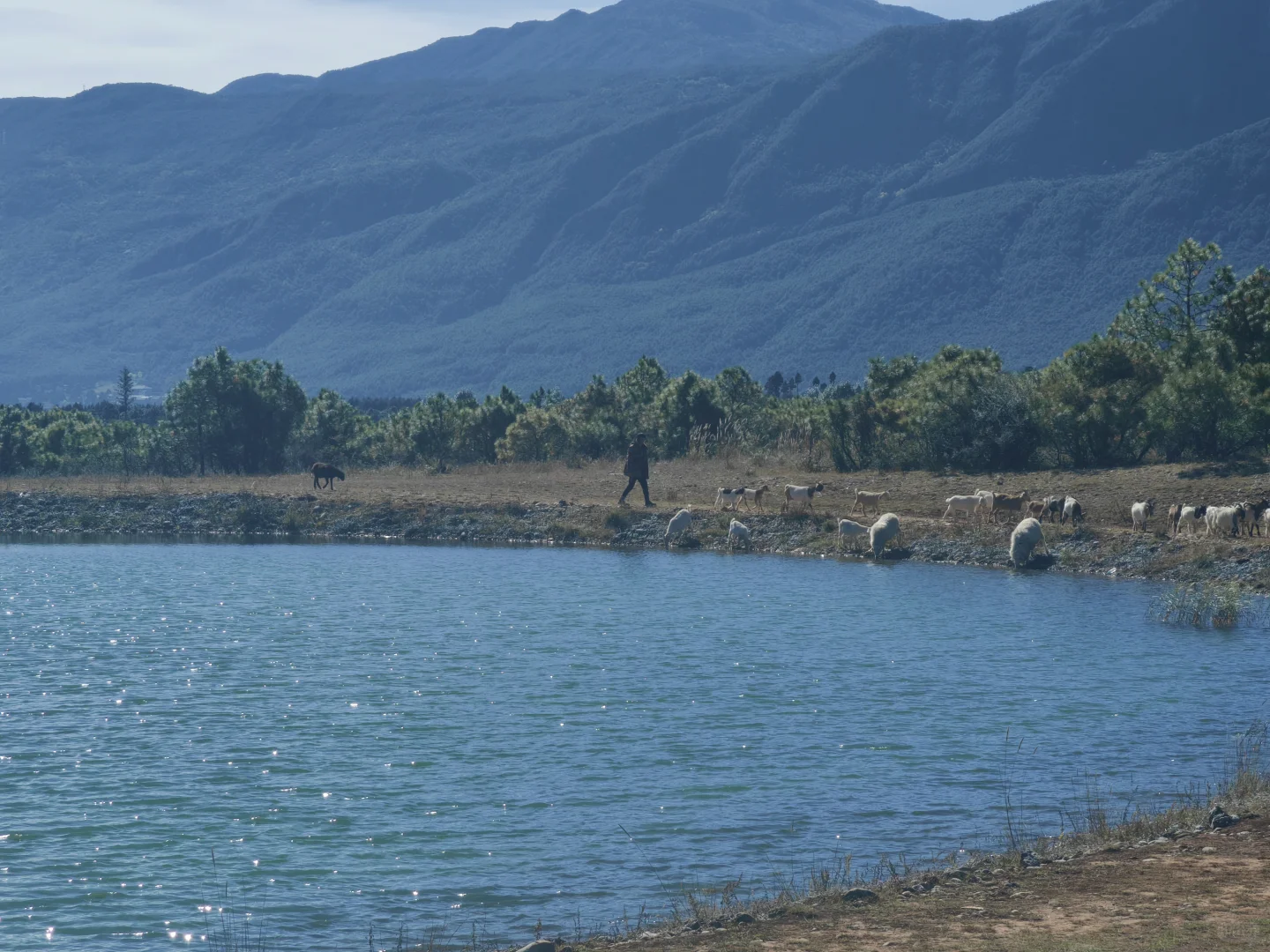丽江东巴谷「免票小众线」电动车骑行攻略
