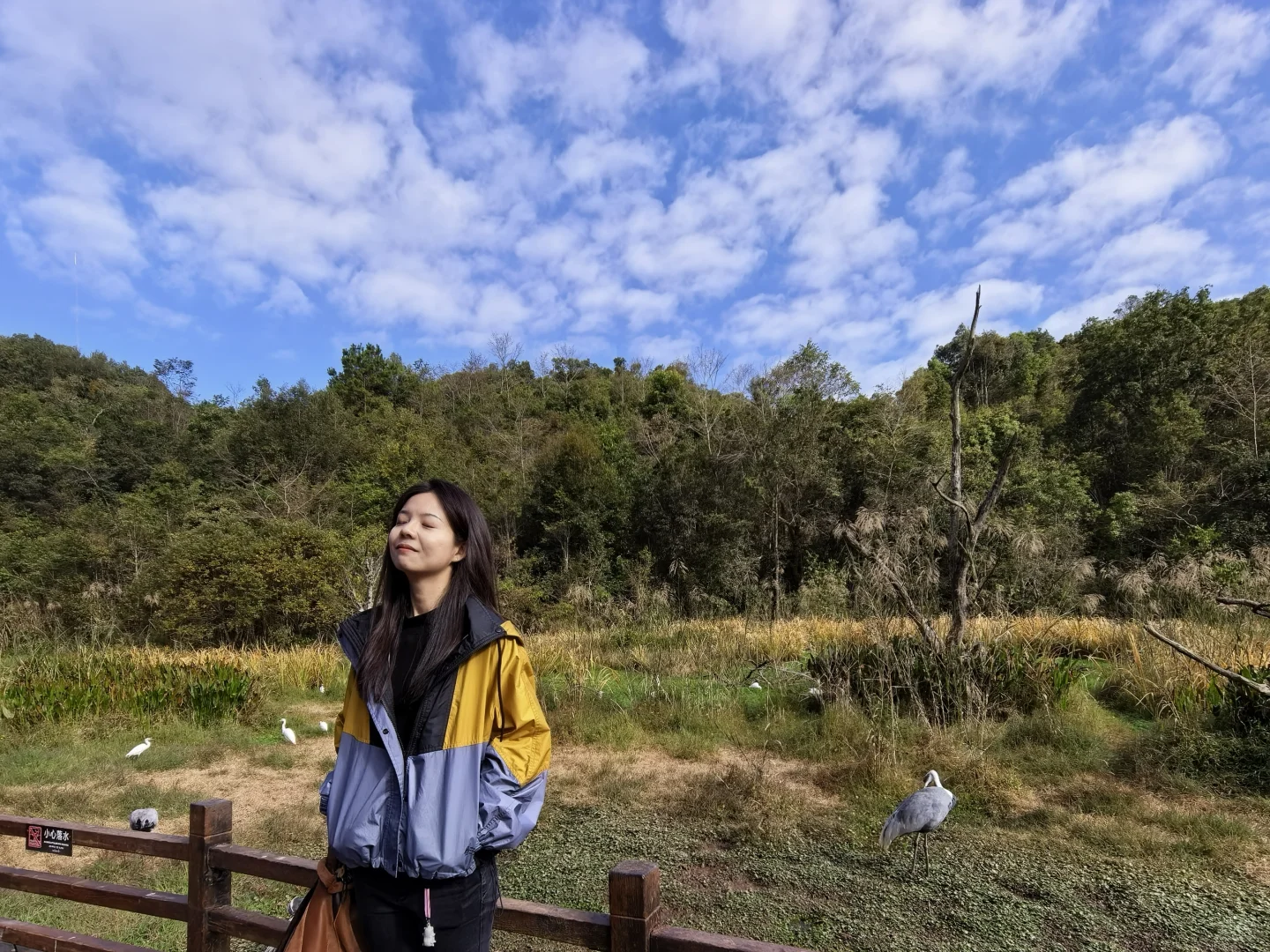 普洱🌿在自然里与小熊猫白犀牛玩耍