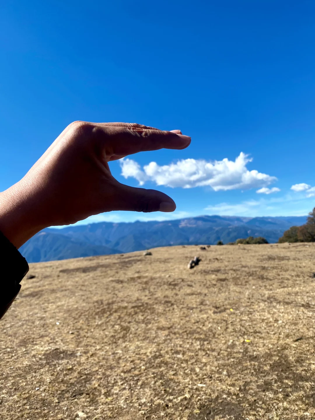 老药山！一起摆烂的一天、哈哈