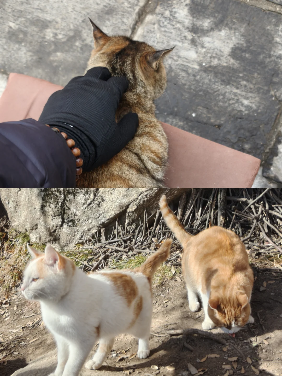 终南山南五台包好看