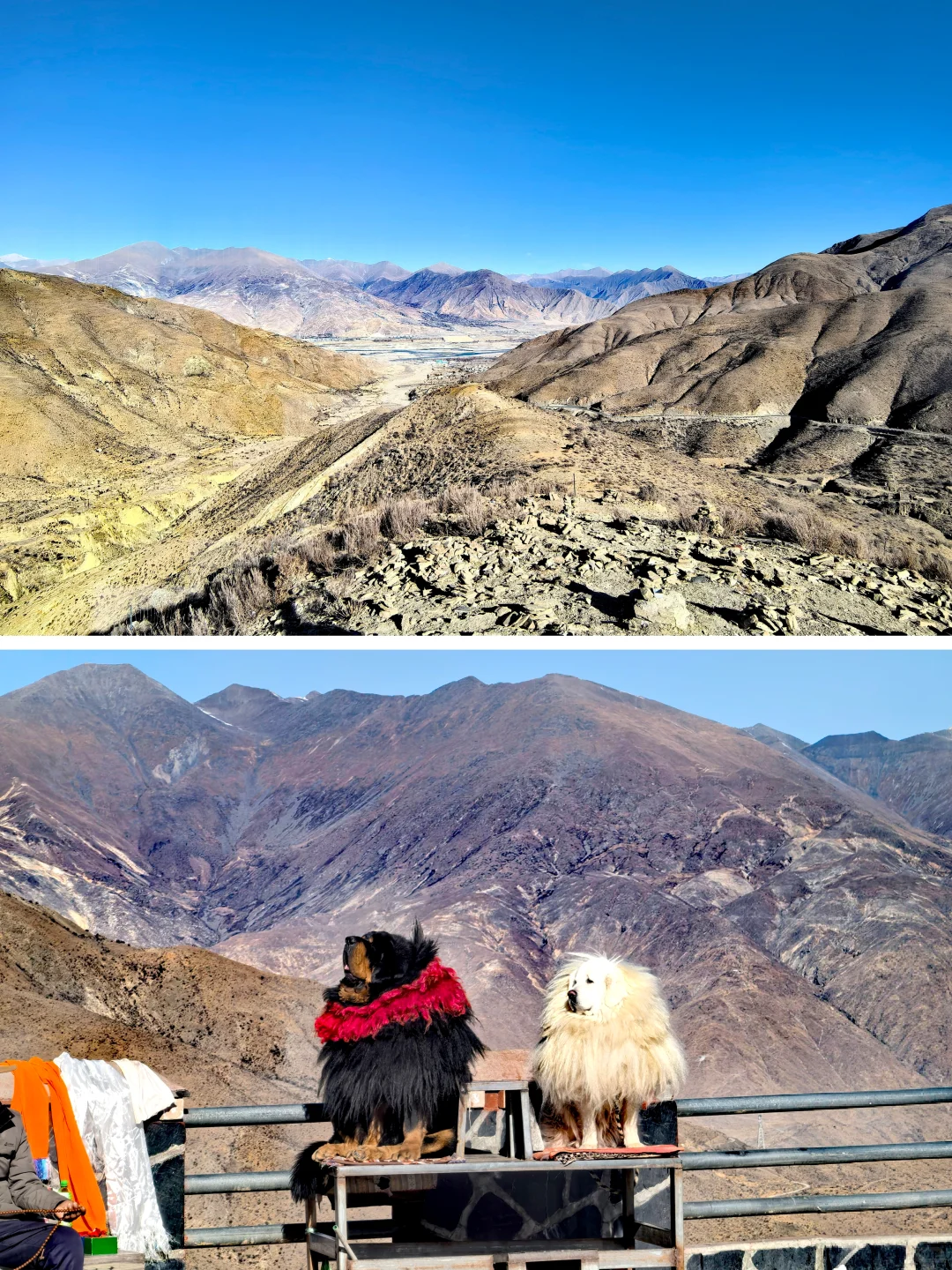 202512冬游西藏-D3-羊卓雍措&乃钦康桑雪山