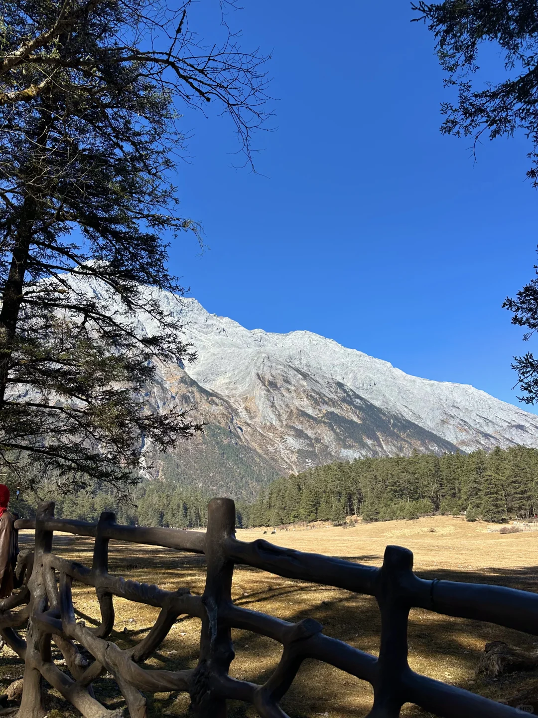 🏔️玉龙雪山想要每个景点都玩的看这里