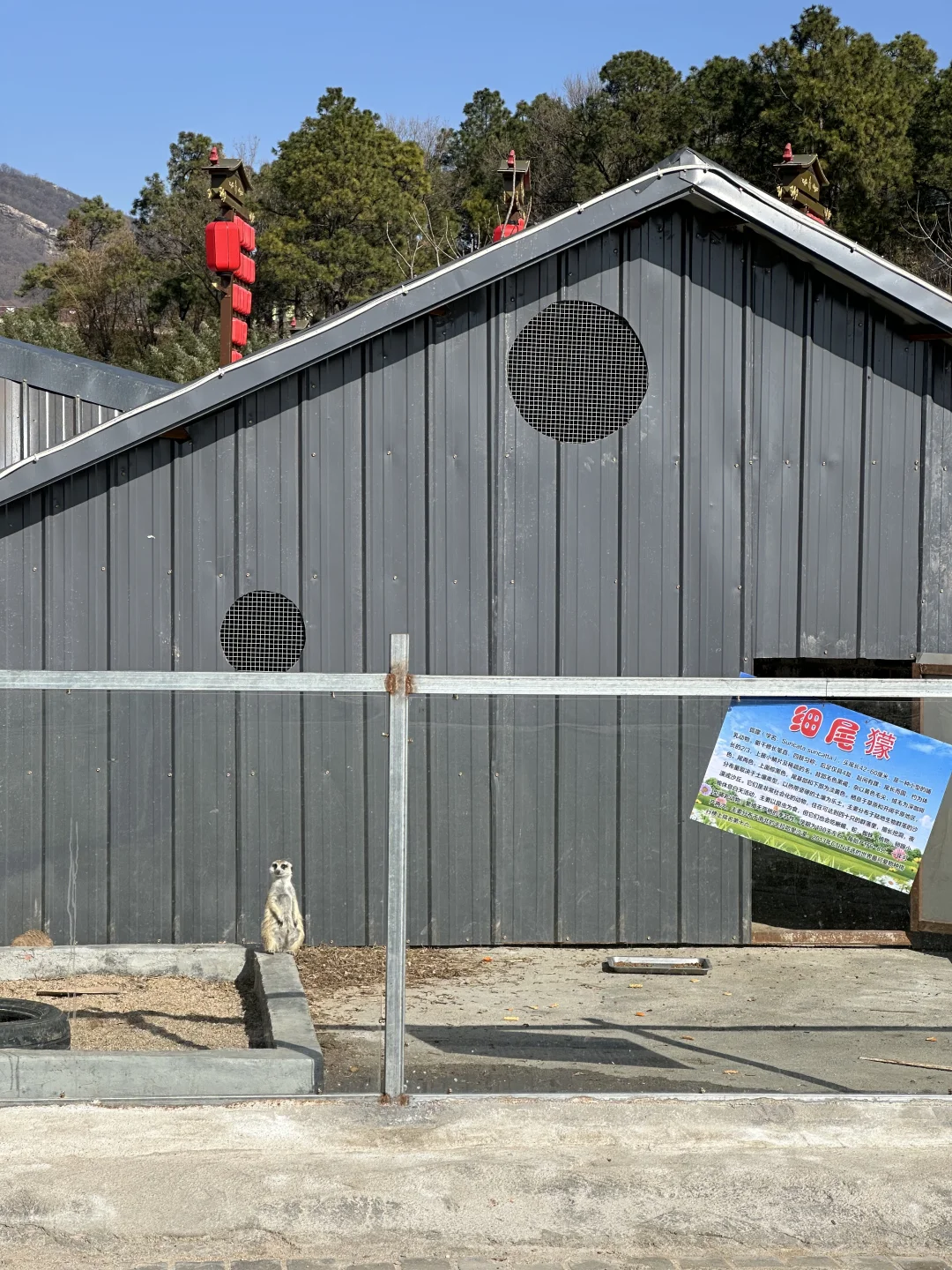 信阳周边游之老乐山