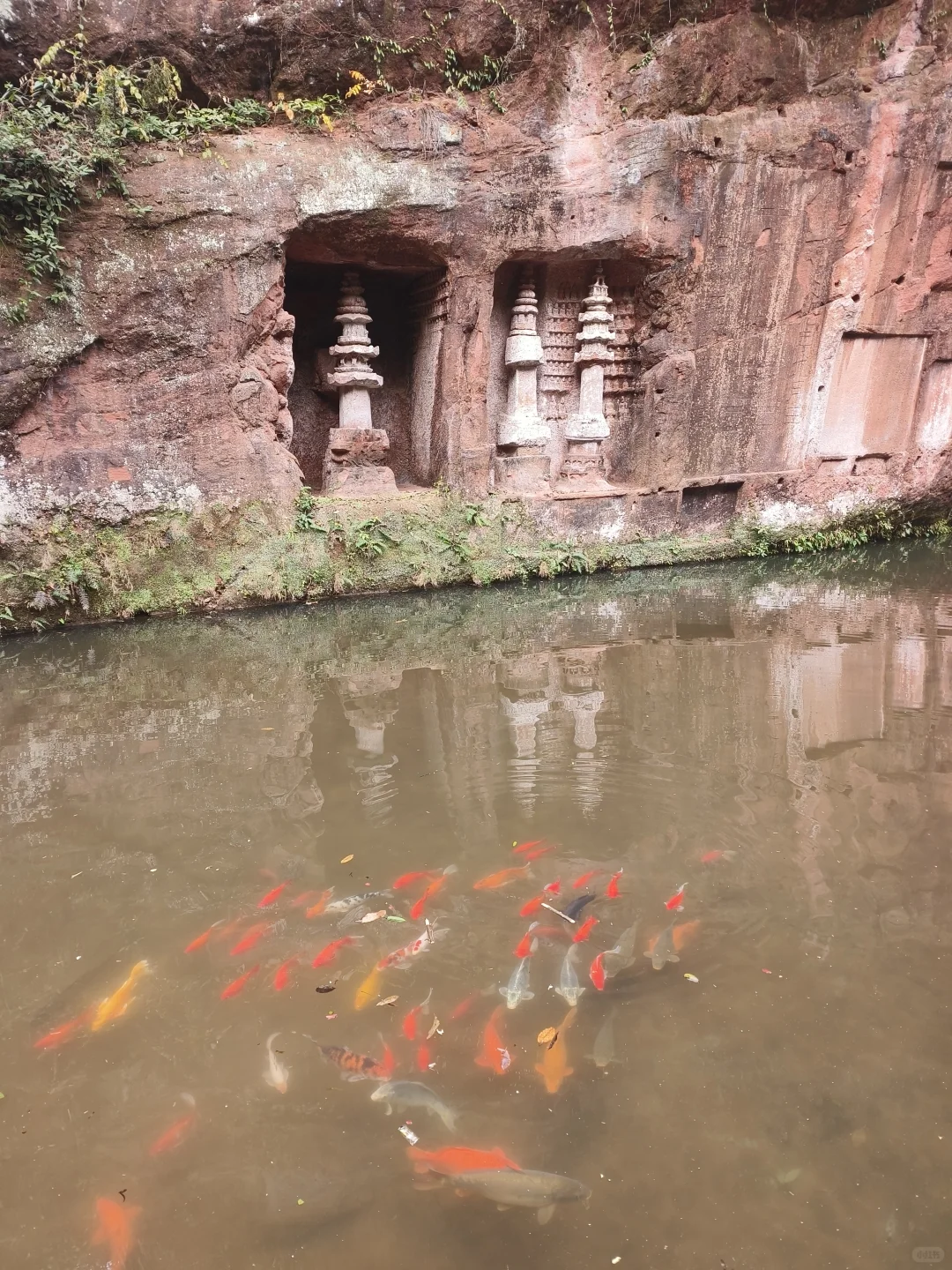 成都大巴💰14.9直达,青神1日游攻略