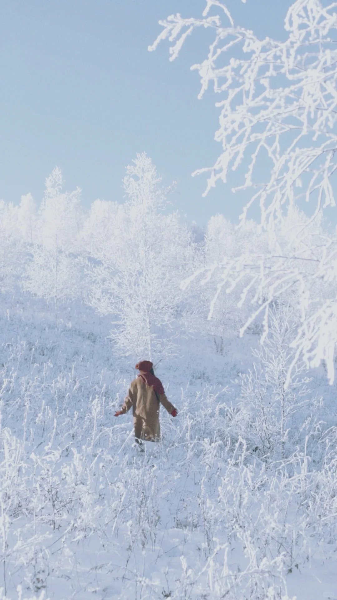 全屏live图打开此刻的内蒙!!!❄️