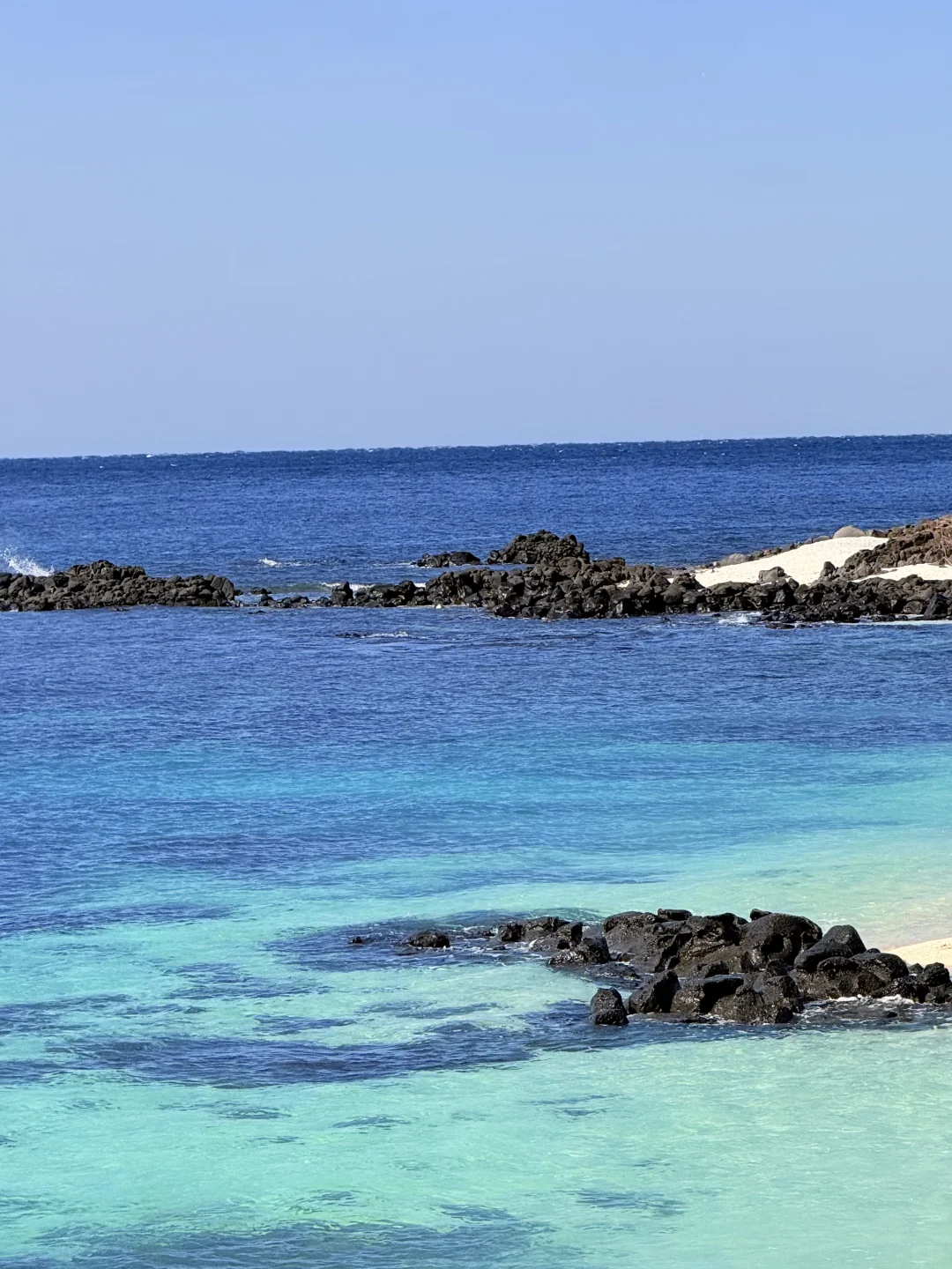 这几天的济州岛，真的是人间值得