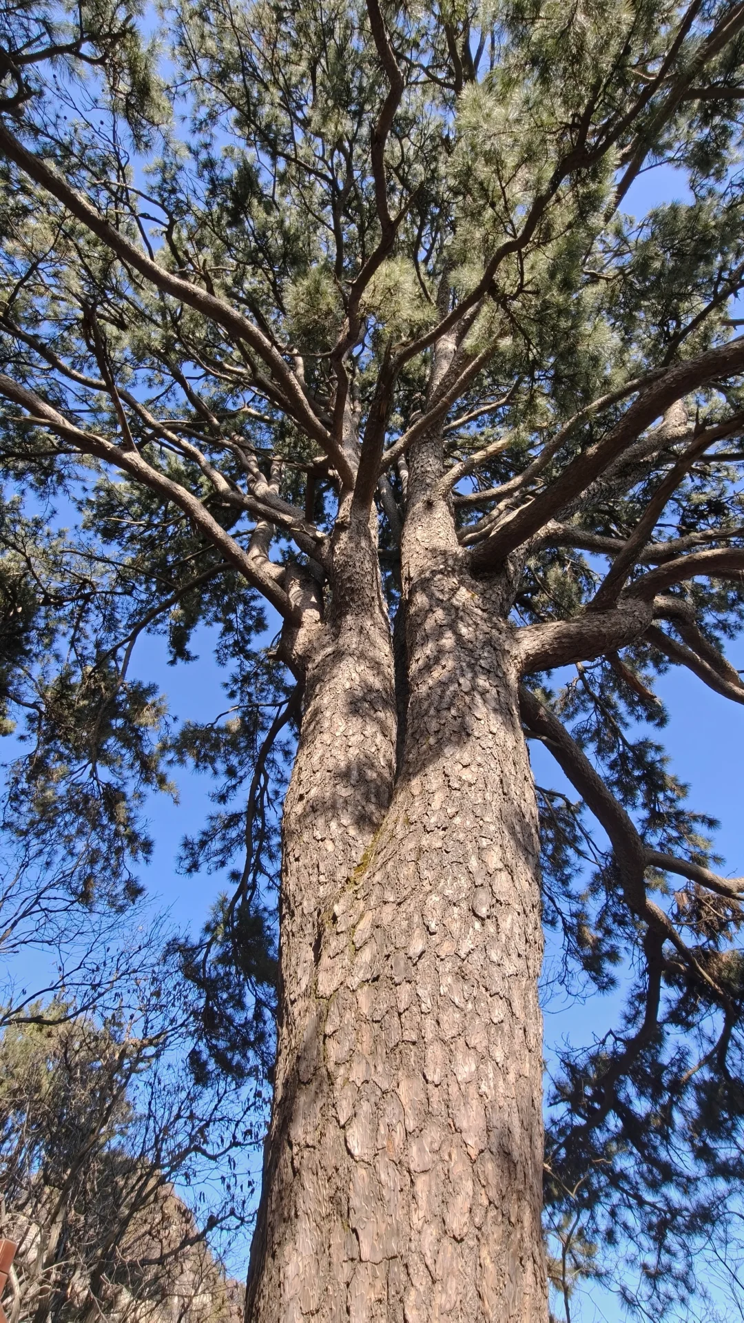 终南山南五台包好看