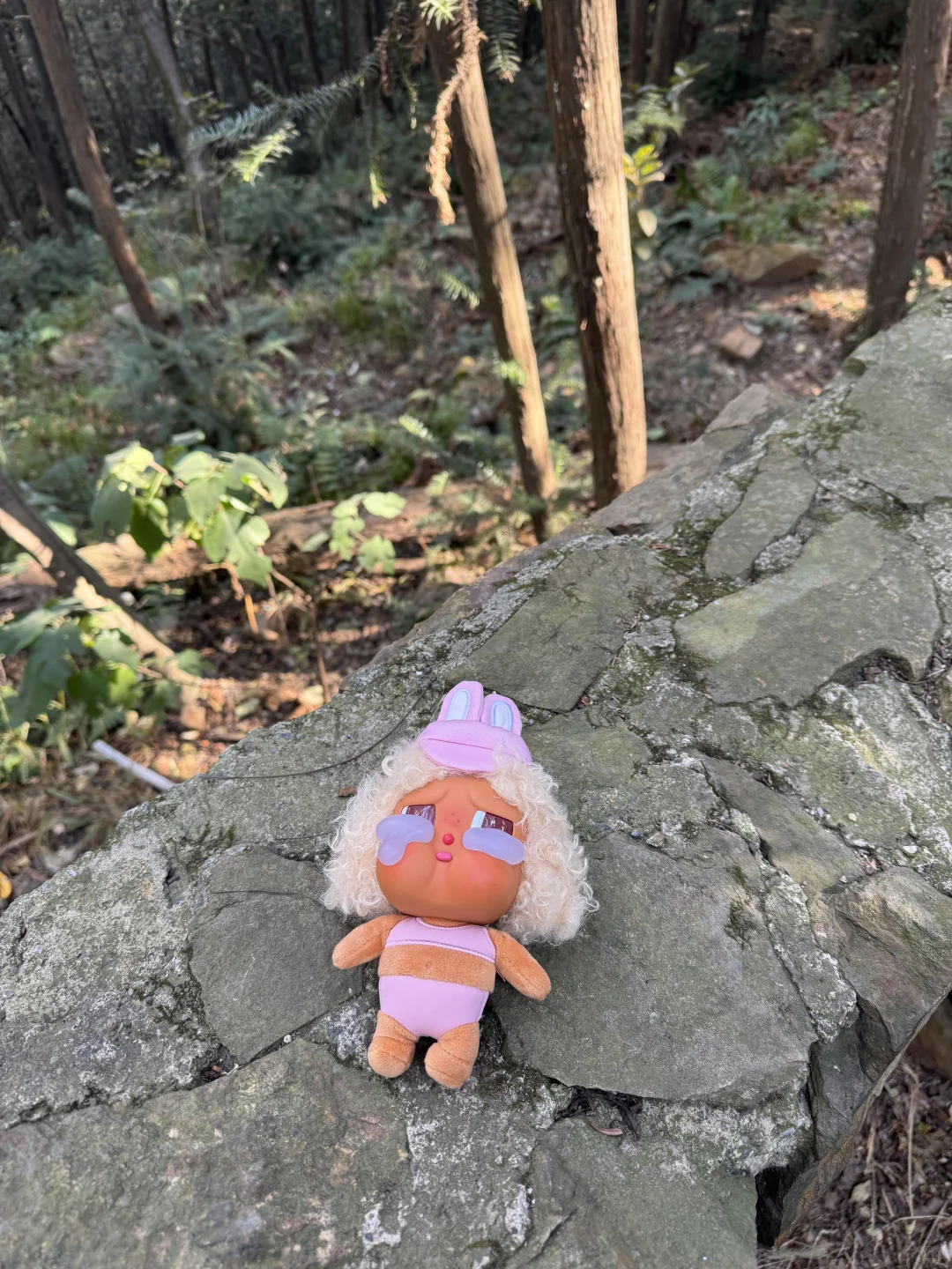 上海-苏州旺山半日爬🧗⛰️☀️