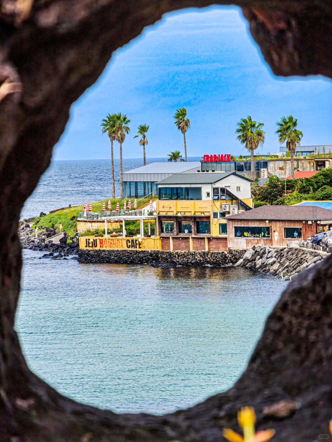 这几天的济州岛，真的是人间值得