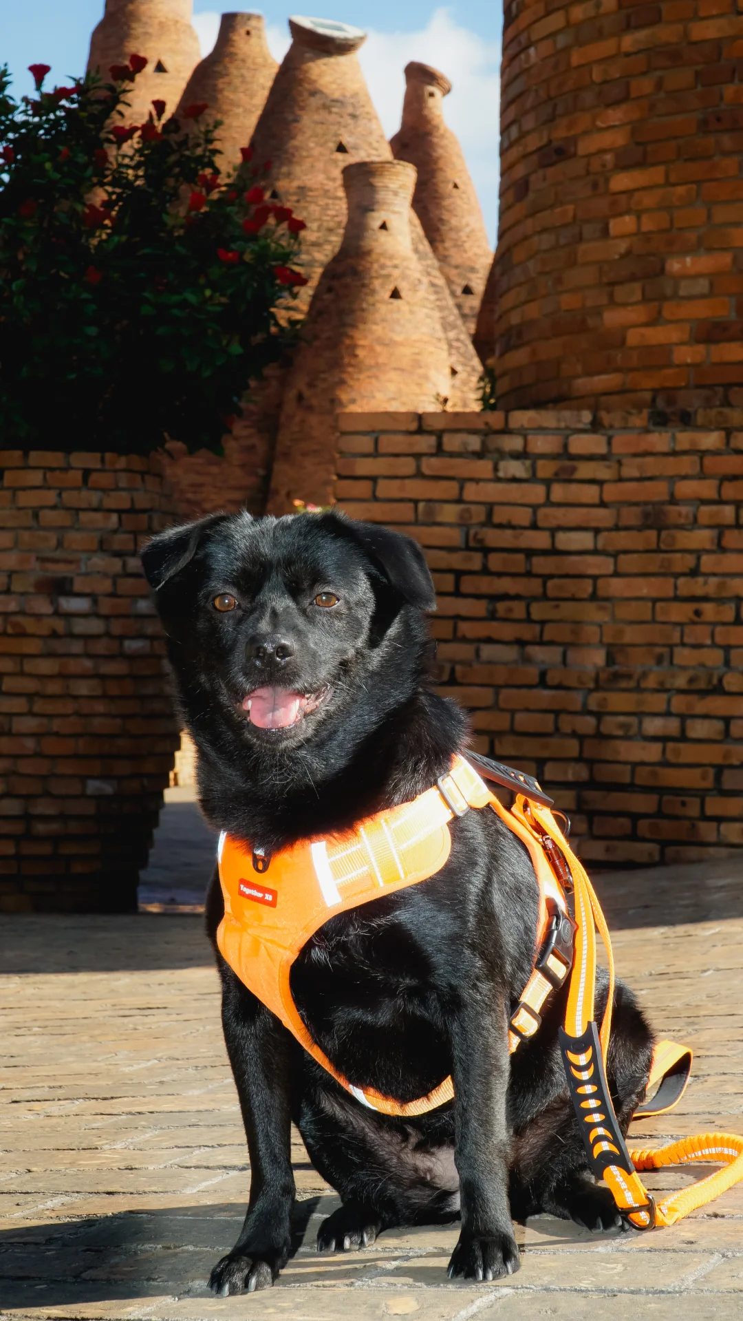 自驾云南-弥勒东风韵