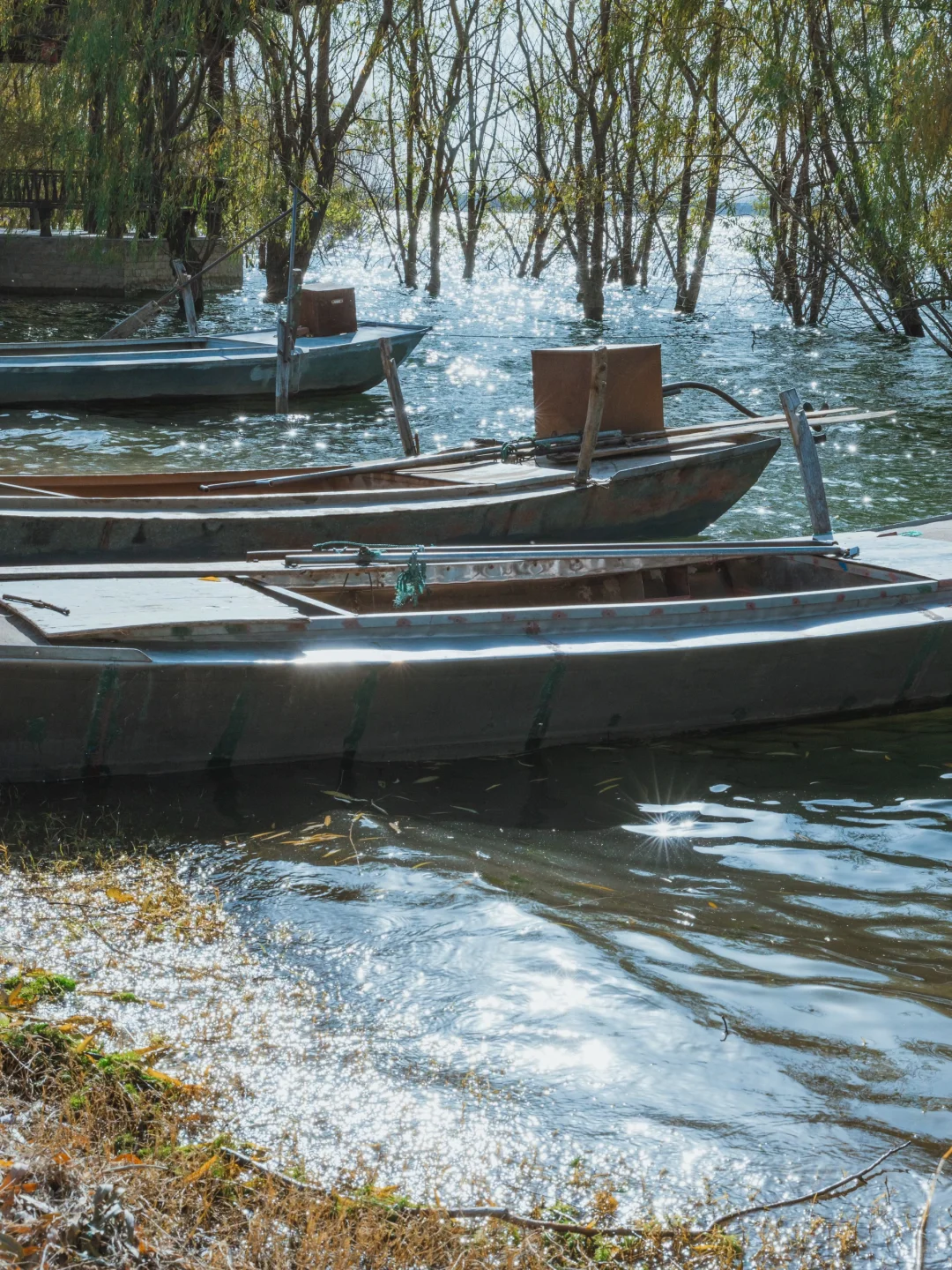 在冬日晴空下，邂逅一片“小洱海”的蓝🌊
