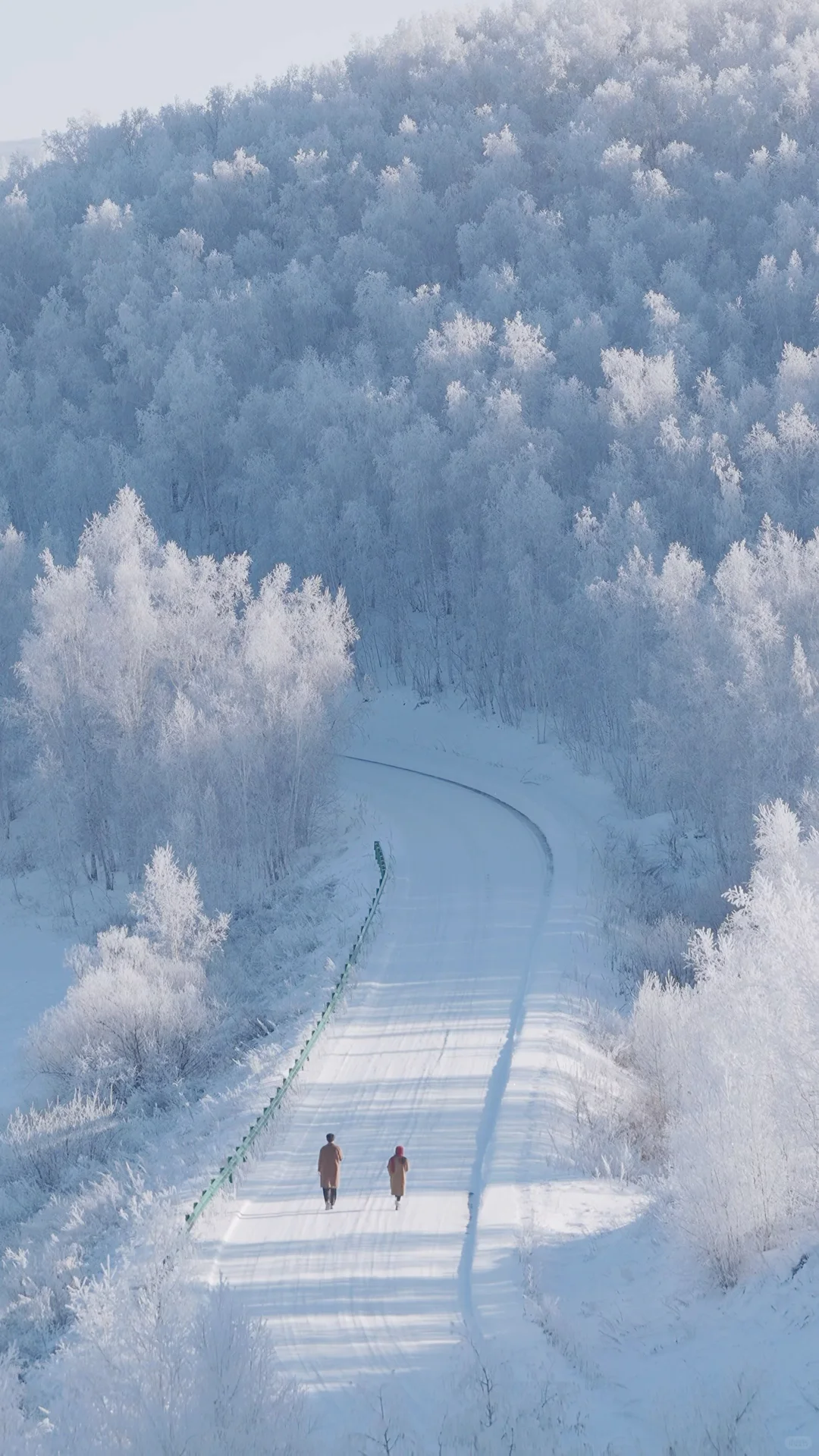 全屏live图打开此刻的内蒙!!!❄️