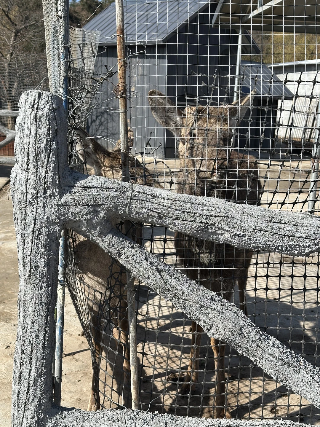 信阳周边游之老乐山