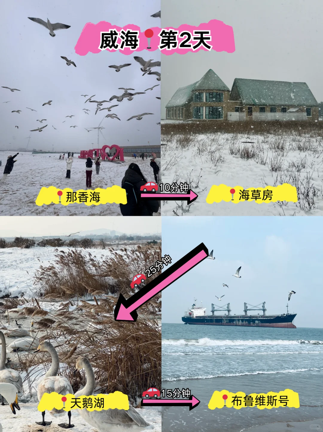 2025冬日去威海攻略来了！（靠谱版）