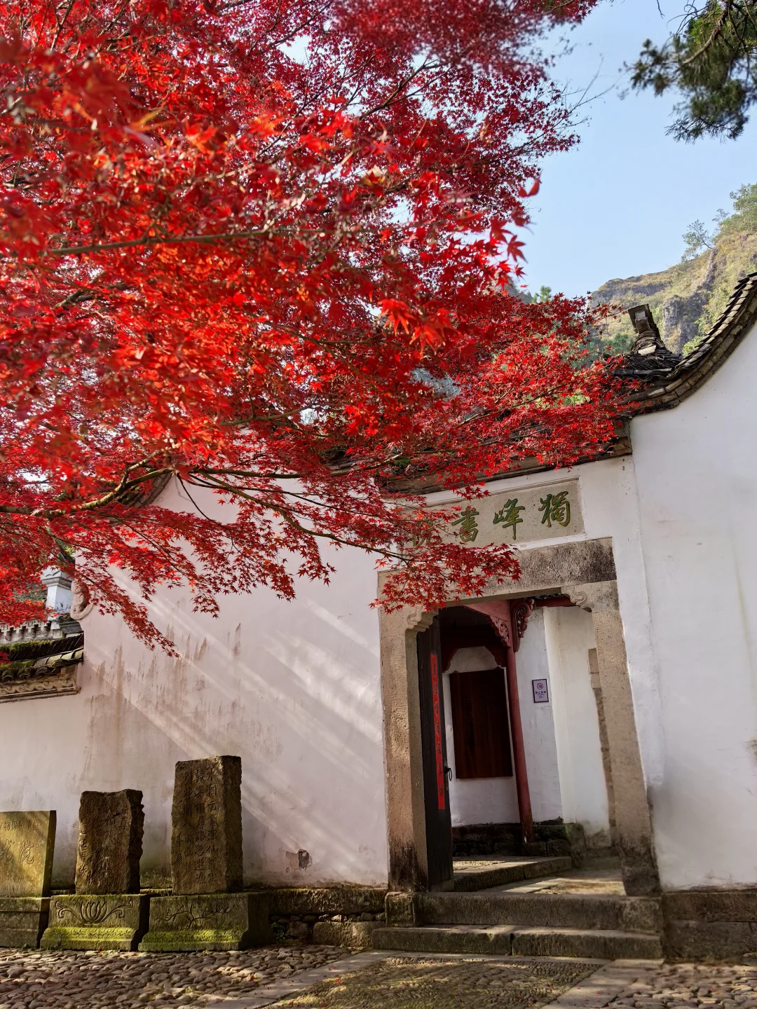 住进风景与艺术里,仙都景区冬日疗愈全记录