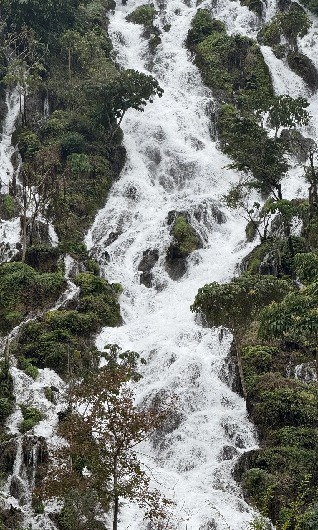 淡季荔波小七孔,人间绿宝石美的实在权威