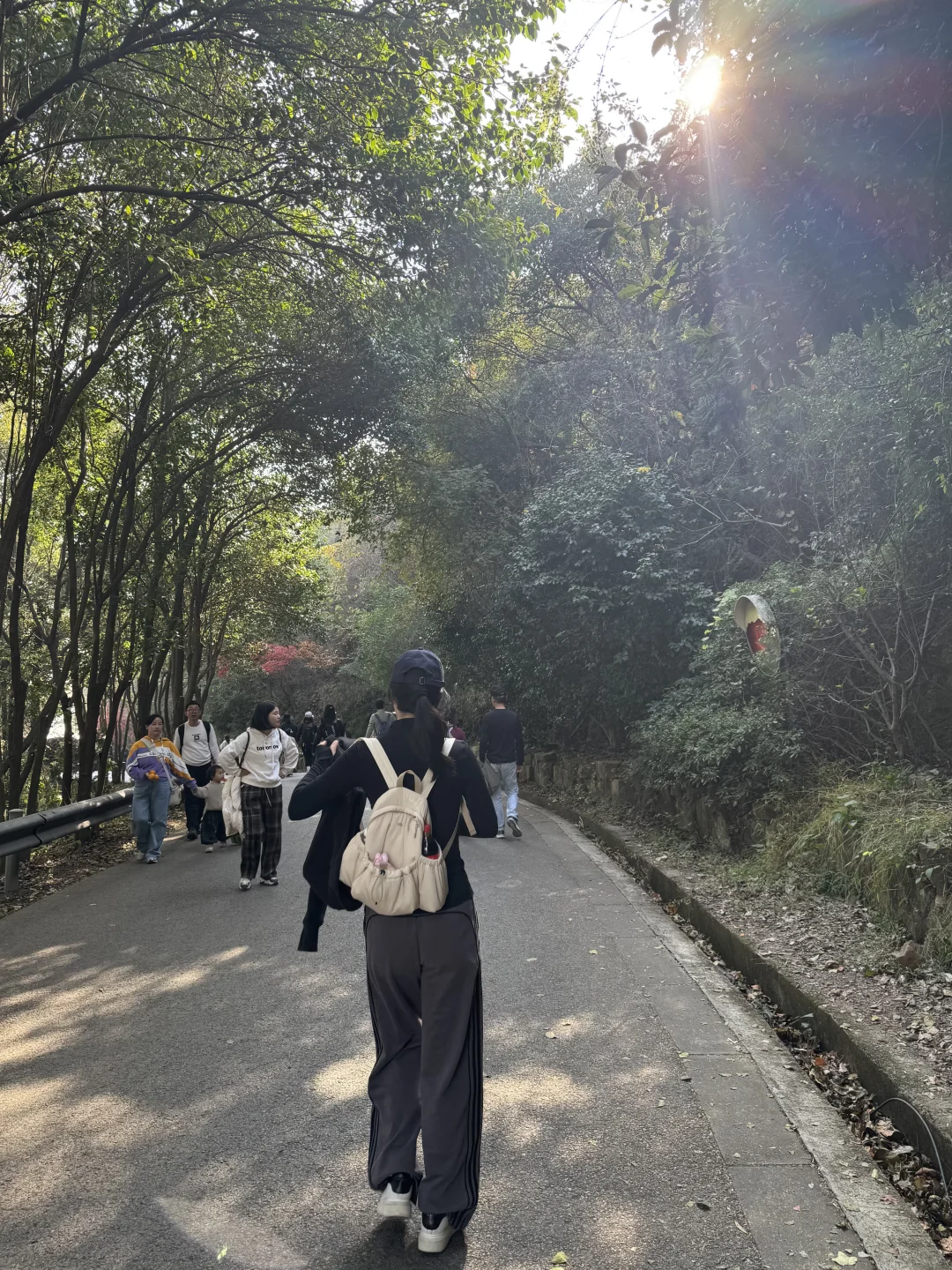 上海-苏州旺山半日爬🧗⛰️☀️