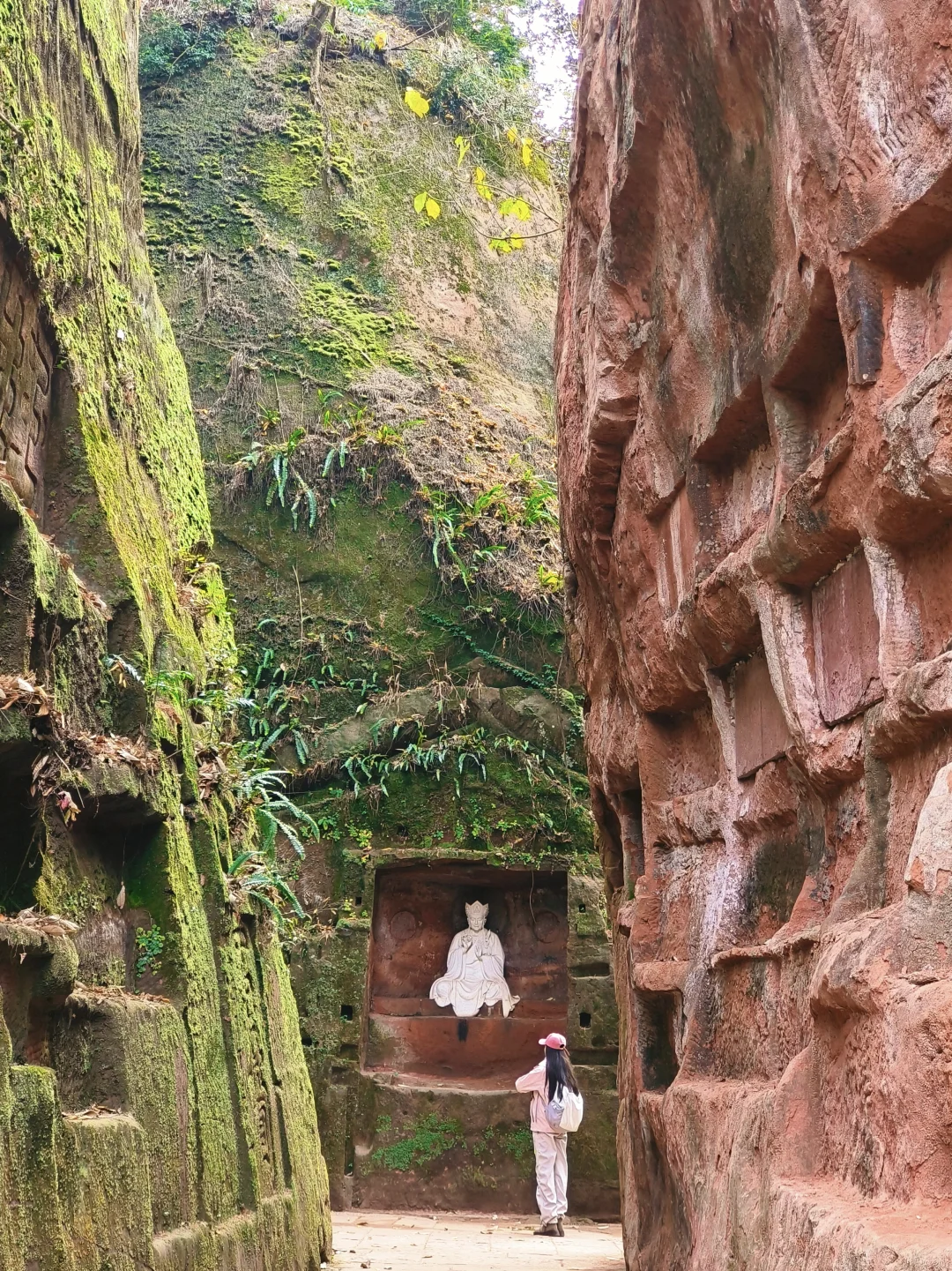 成都大巴💰14.9直达,青神1日游攻略