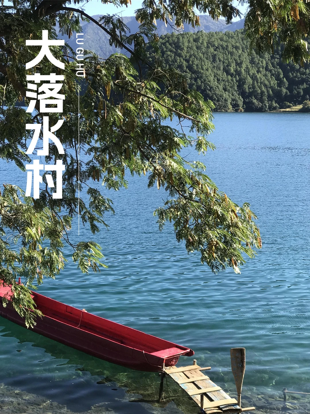 泸沽湖11月实况❗晨雾海鸥猪槽船二日游368