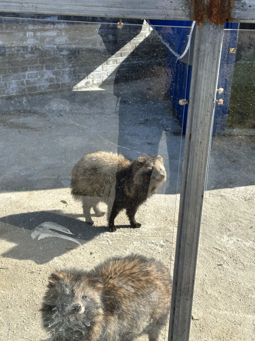 信阳周边游之老乐山