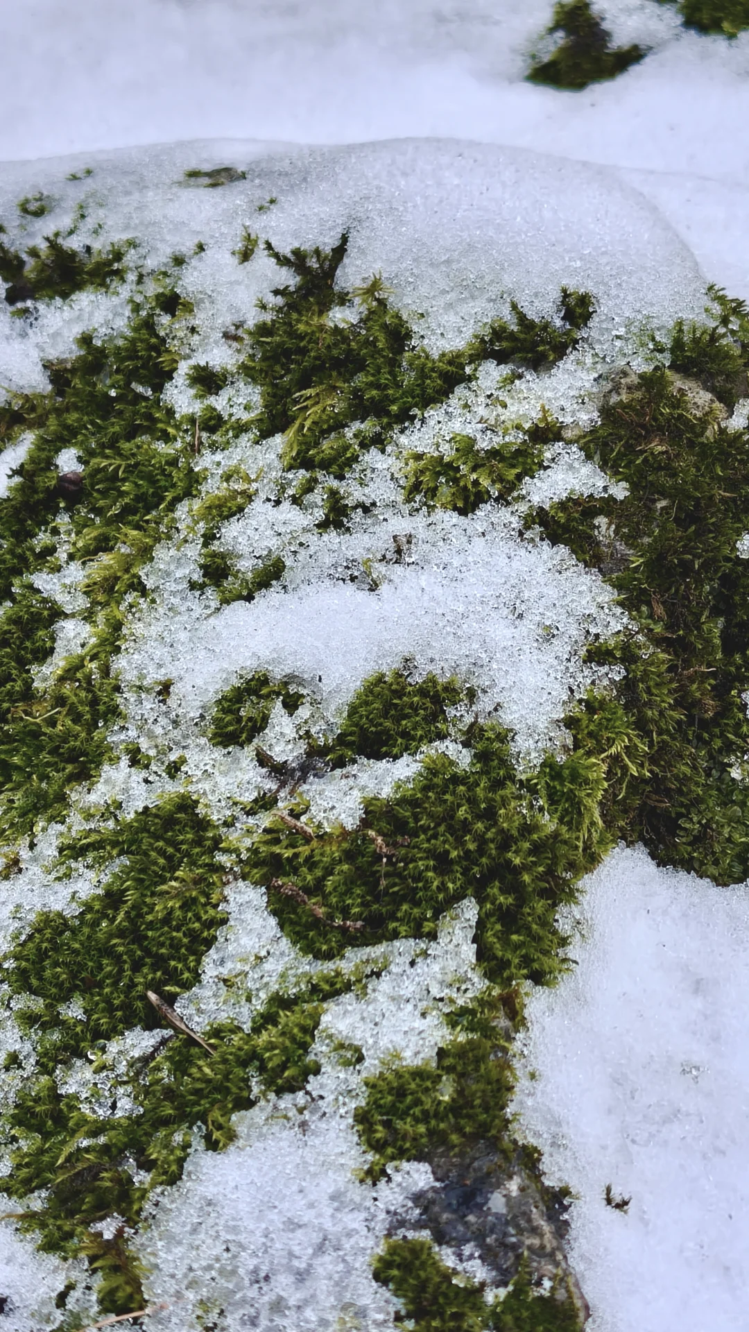 终南山南五台包好看