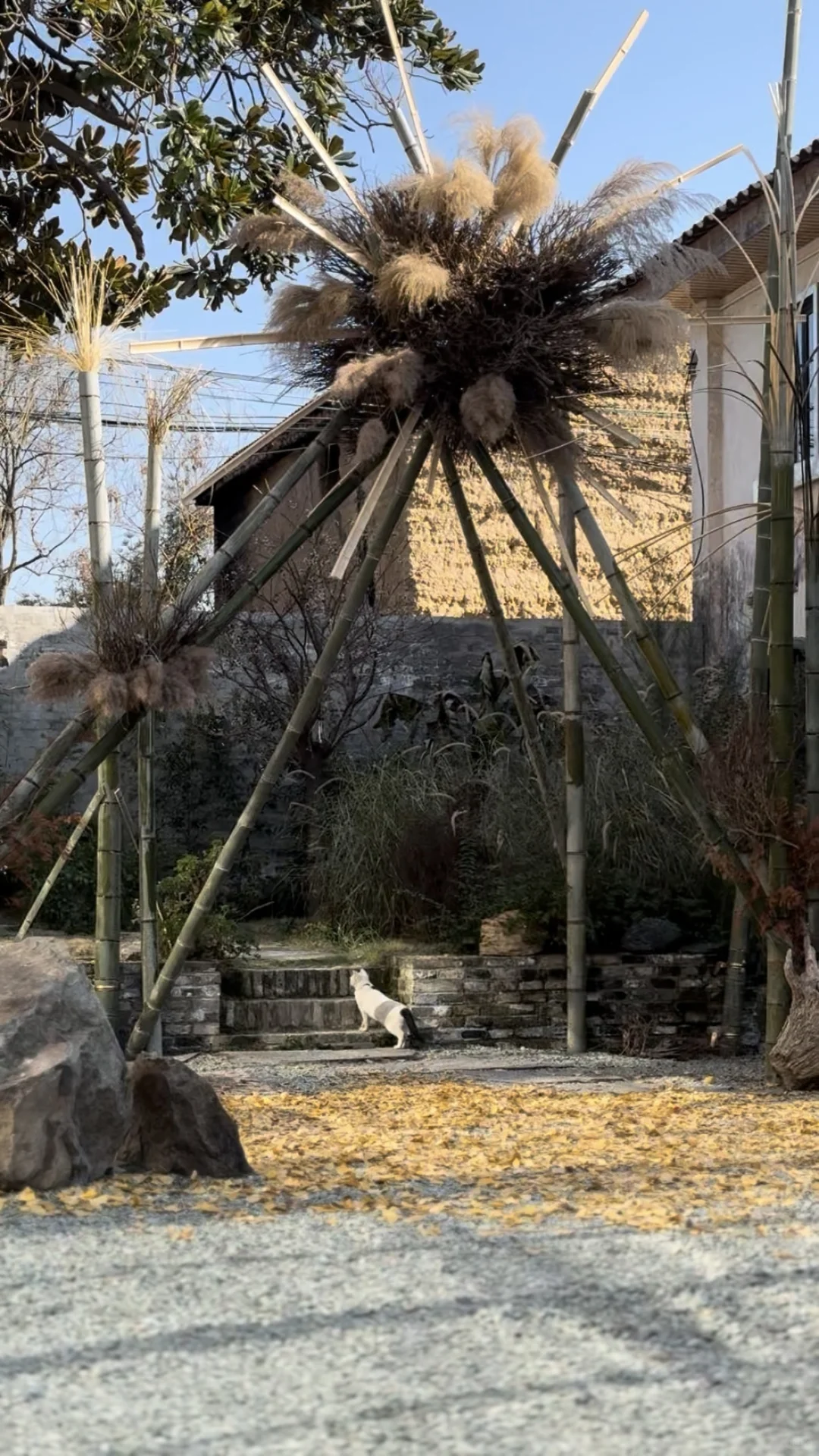 冬日某一天的我们