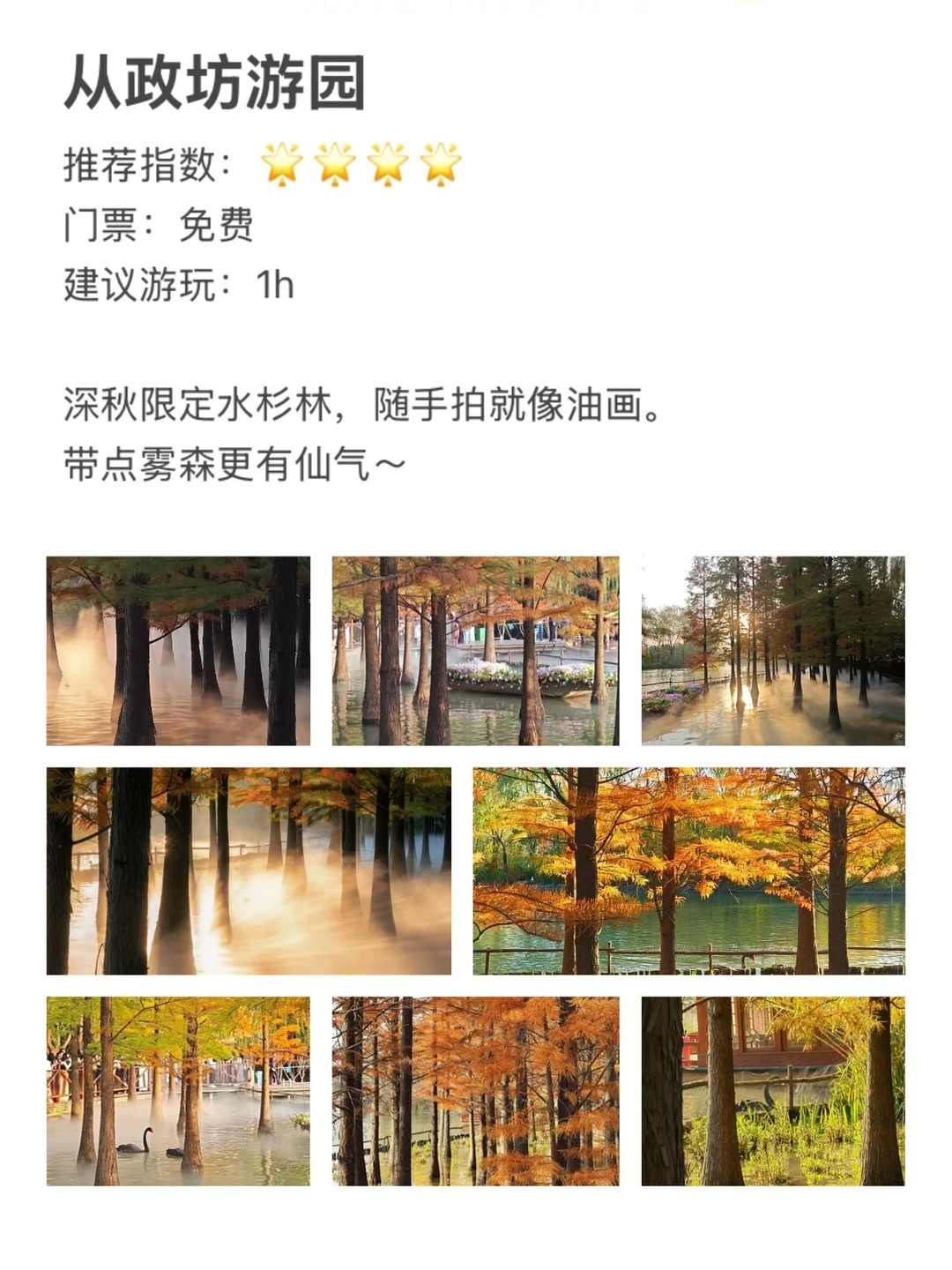 【洛阳】5大必去景点参观指北（人均200+）