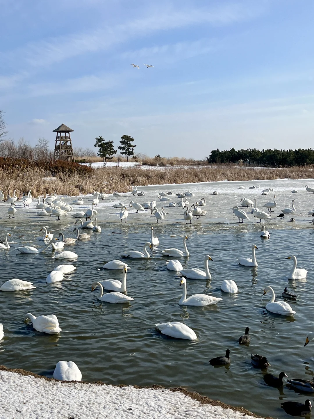 威海 | 本人的看雪攻略没有对手(纯干货版)