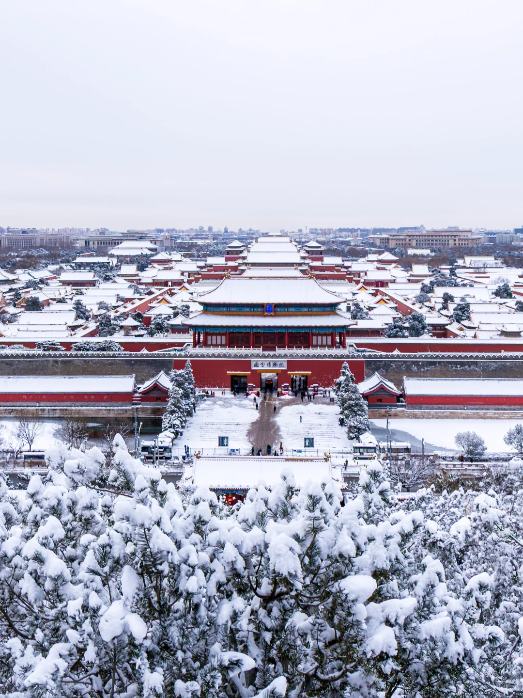 大雪后~约不上故宫的都给我去景山!