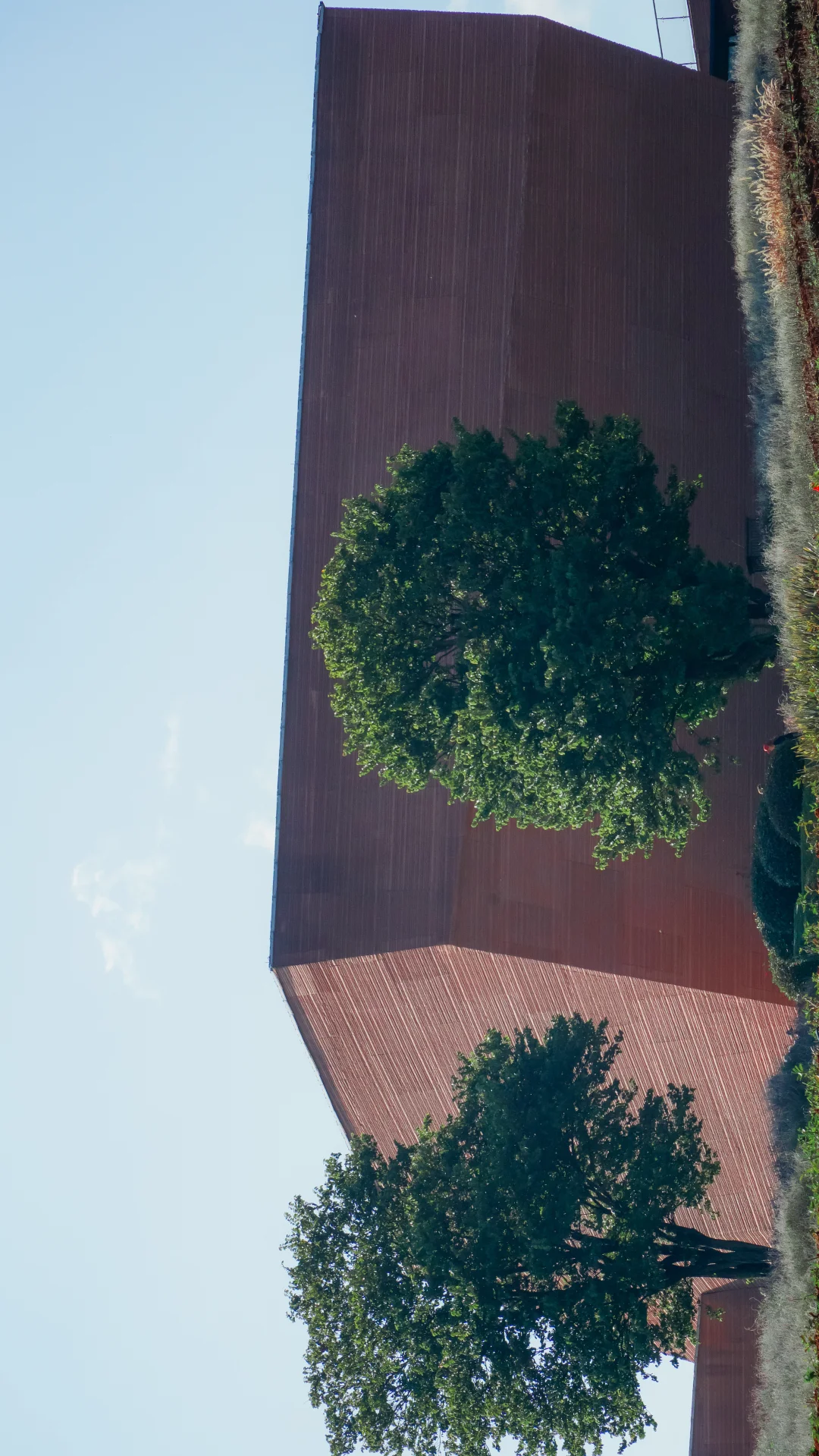 自驾云南-弥勒东风韵