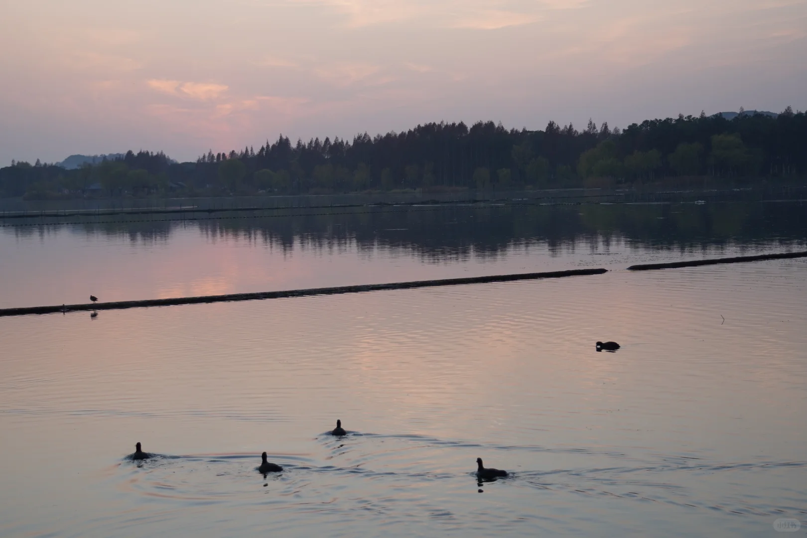 超级好的天气☁️