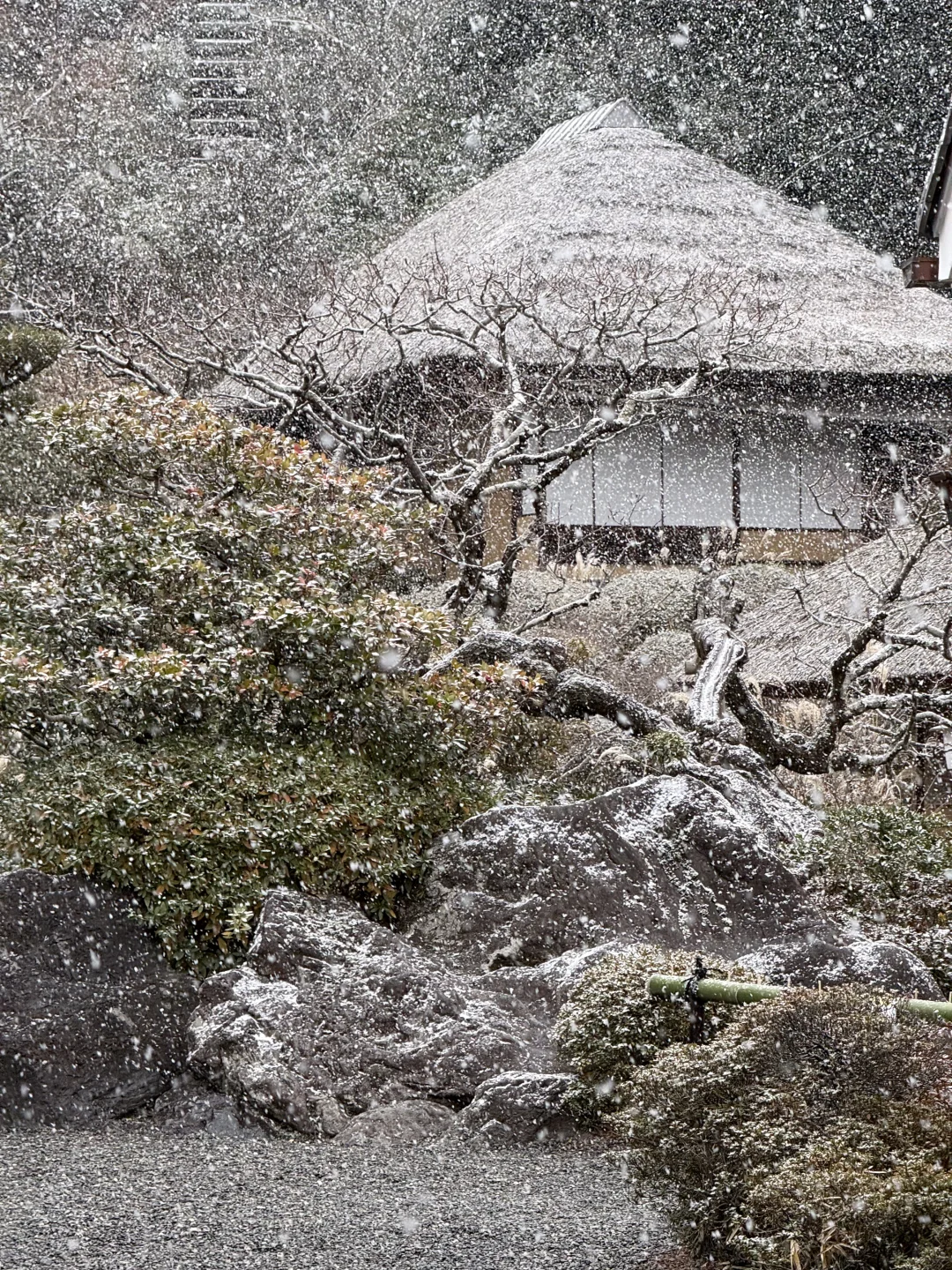 以为京都很美了