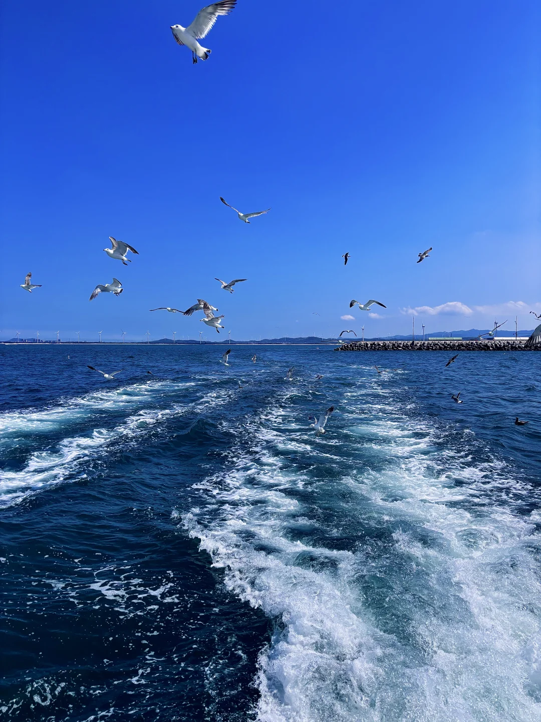 一些威海の𝙡𝙞𝙫𝙚库存🌊