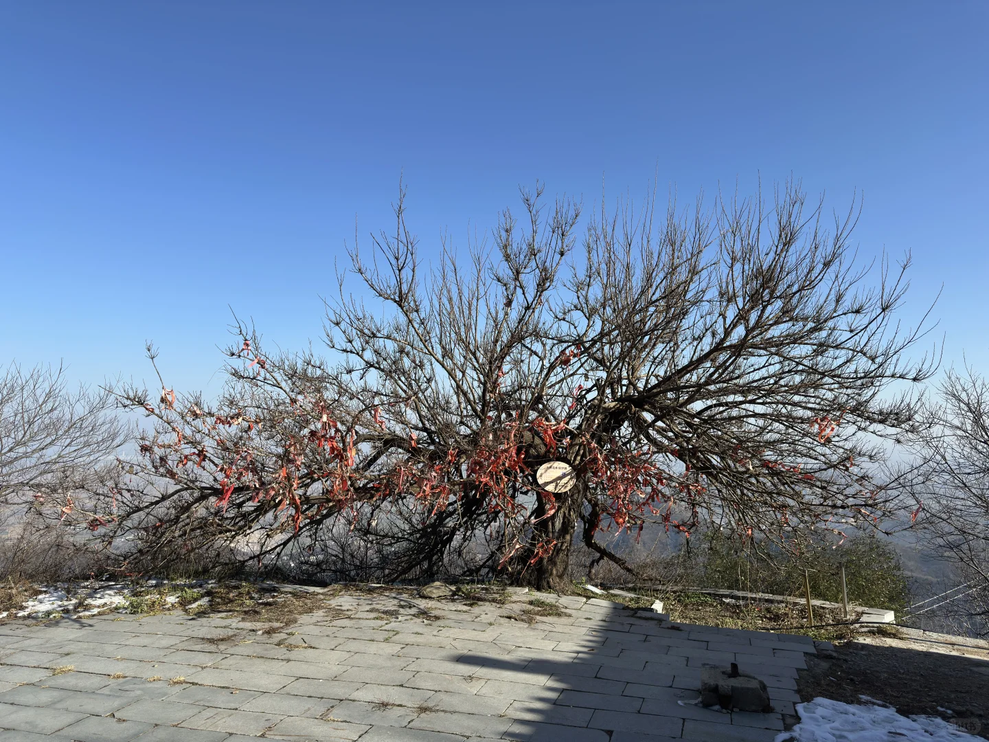 信阳周边游之老乐山