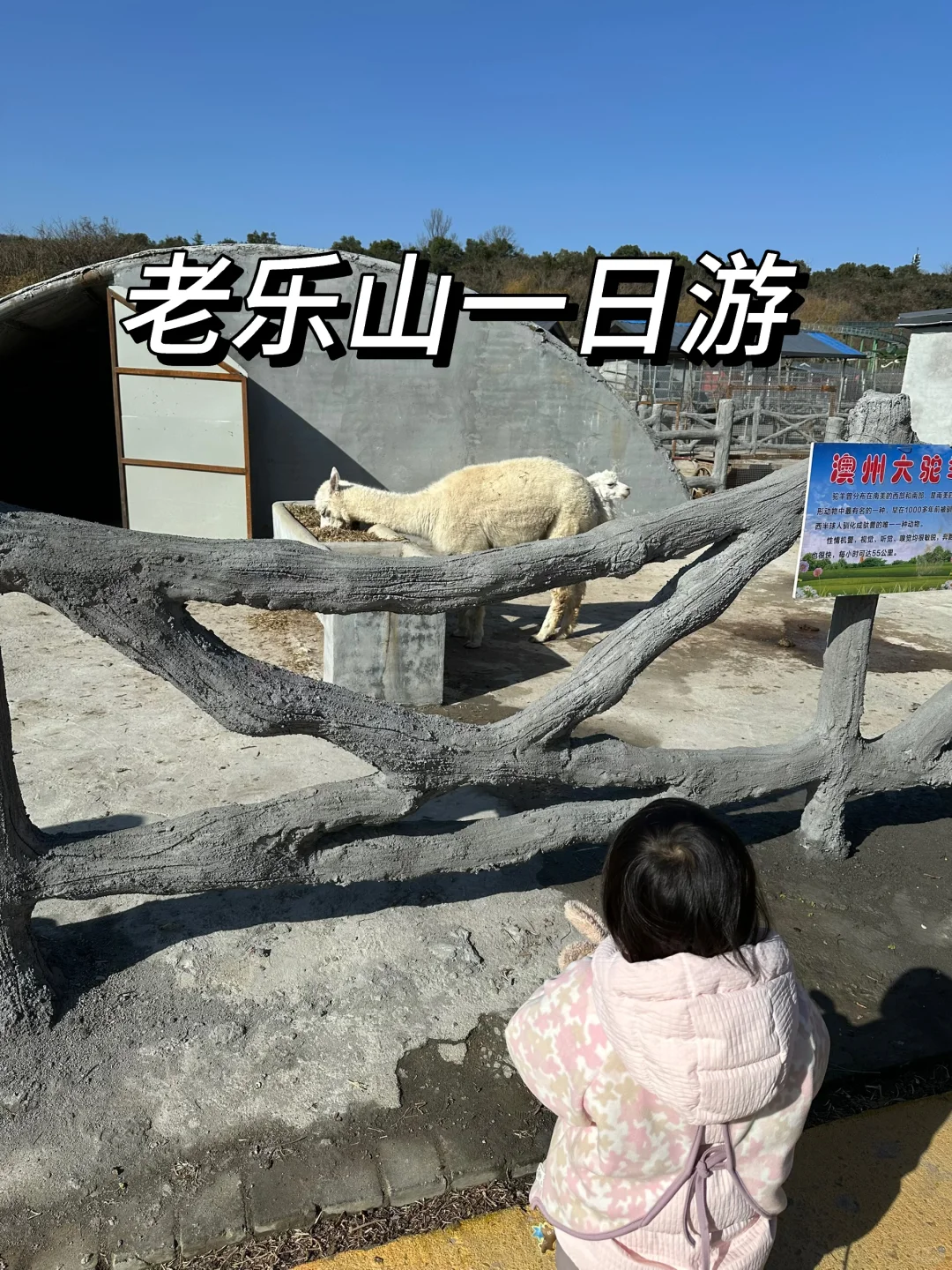 信阳周边游之老乐山