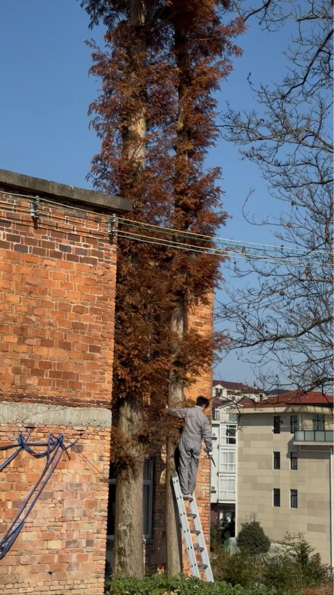 冬日某一天的我们