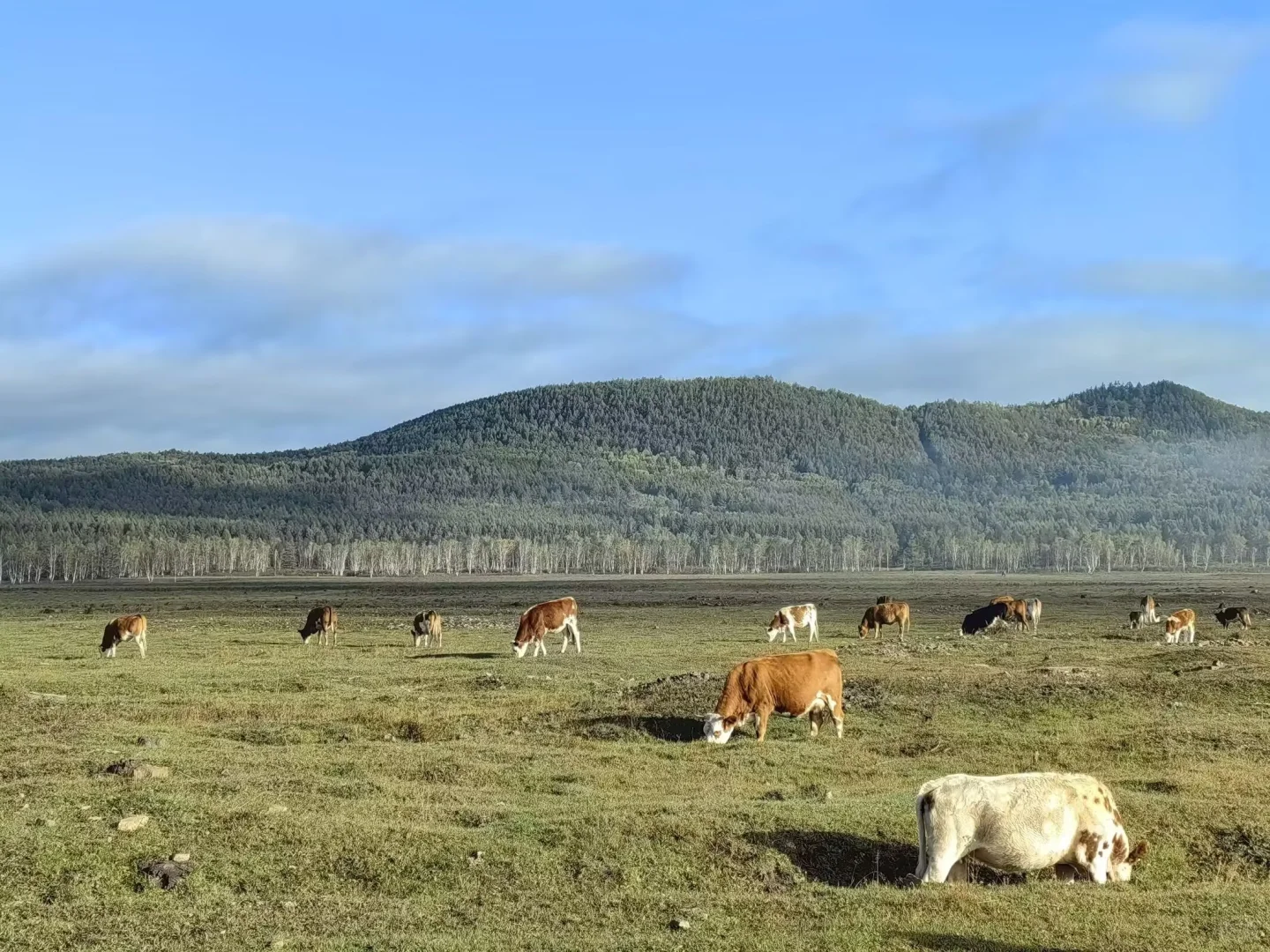 漠河到北极村旅游景点推荐怎么选安全性高