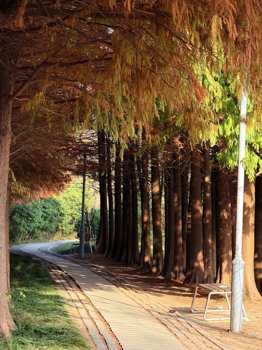 这么美的景点竟然不收费（附地图攻略）