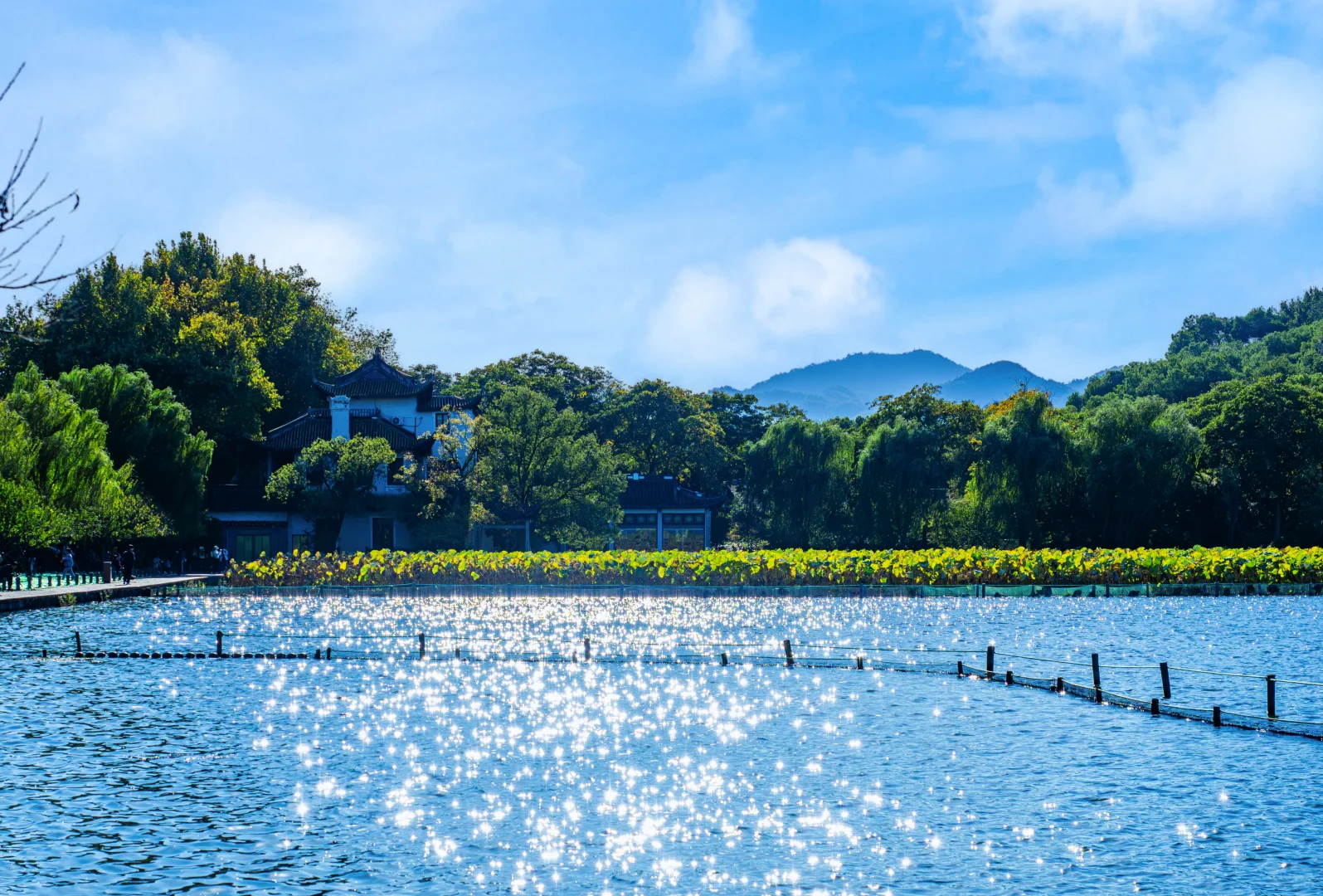 杭州|昨日西湖