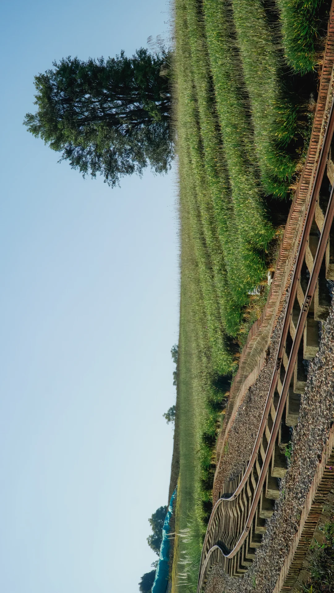 自驾云南-弥勒东风韵