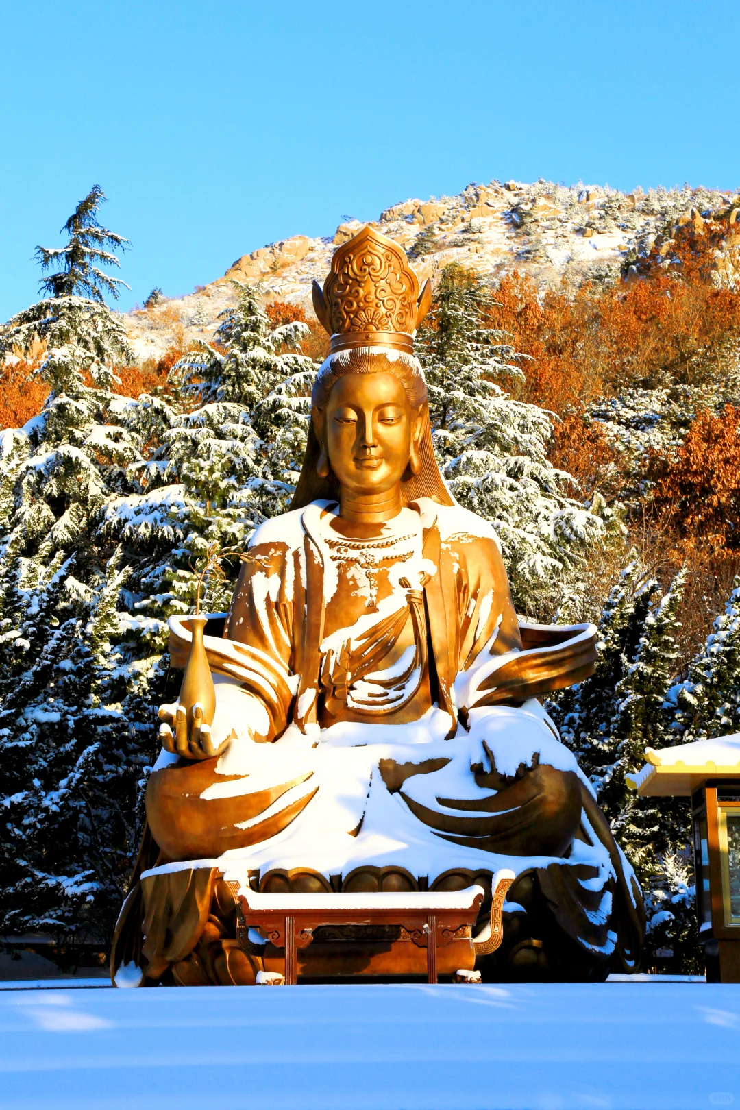 ❄️有山有海有雪，赤山景区的冬日浪漫