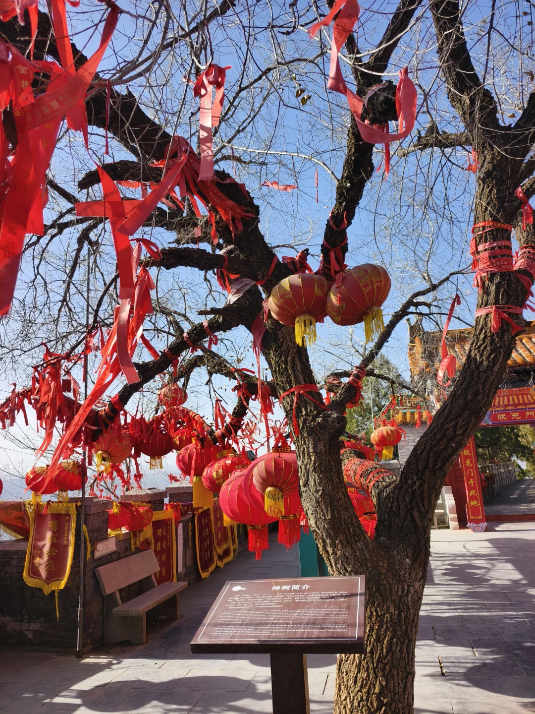 山西晋城❗珏山⛰️第一弹