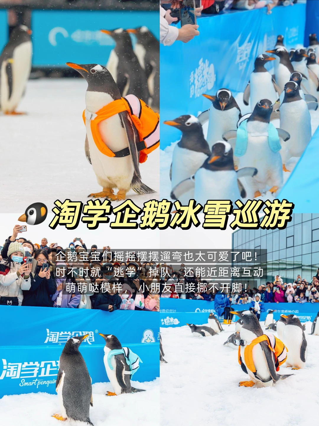 哈尔滨景点推荐!附三日游路线 美食🔥