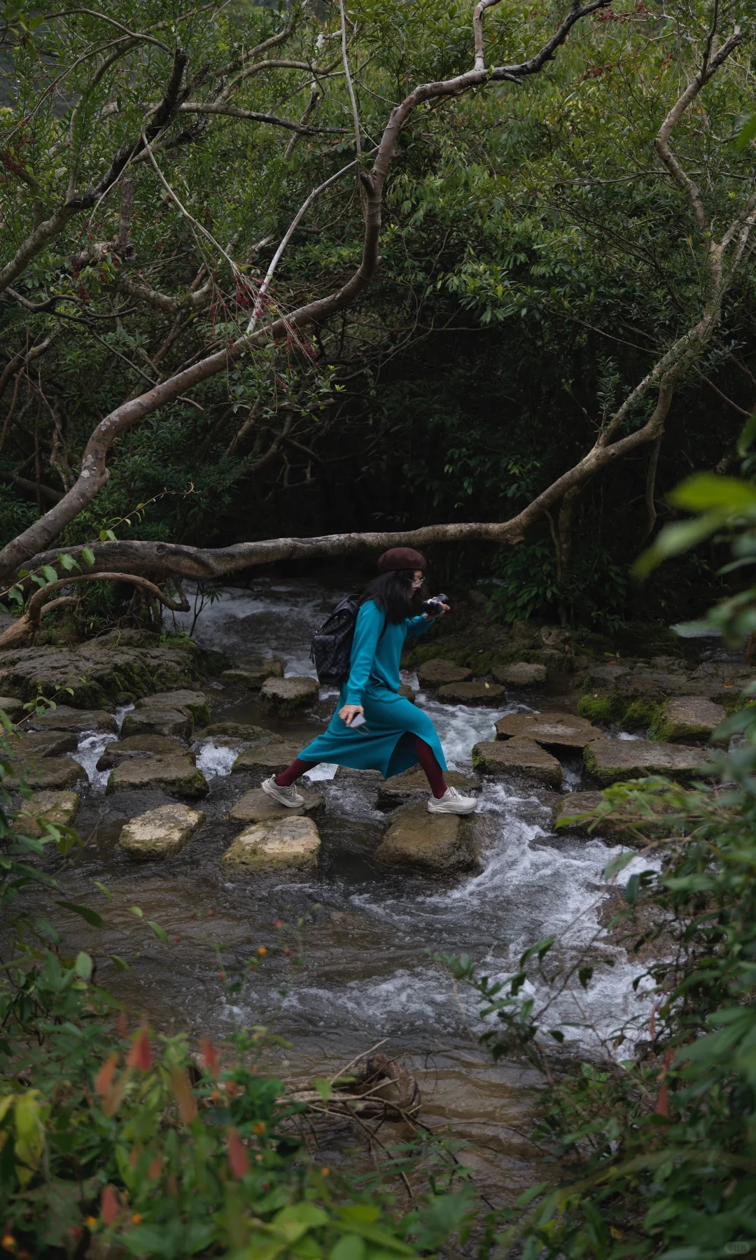 淡季荔波小七孔,人间绿宝石美的实在权威
