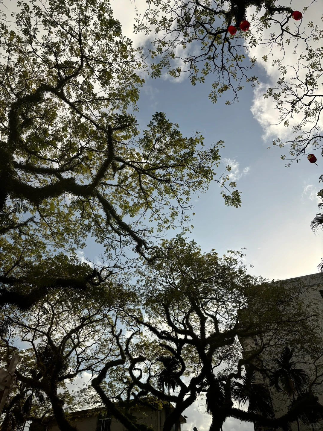 📚旅游攻略|环味蕾旅行😋