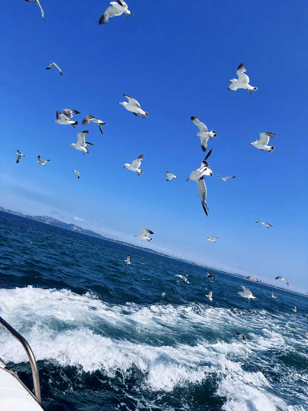 一些威海の𝙡𝙞𝙫𝙚库存🌊