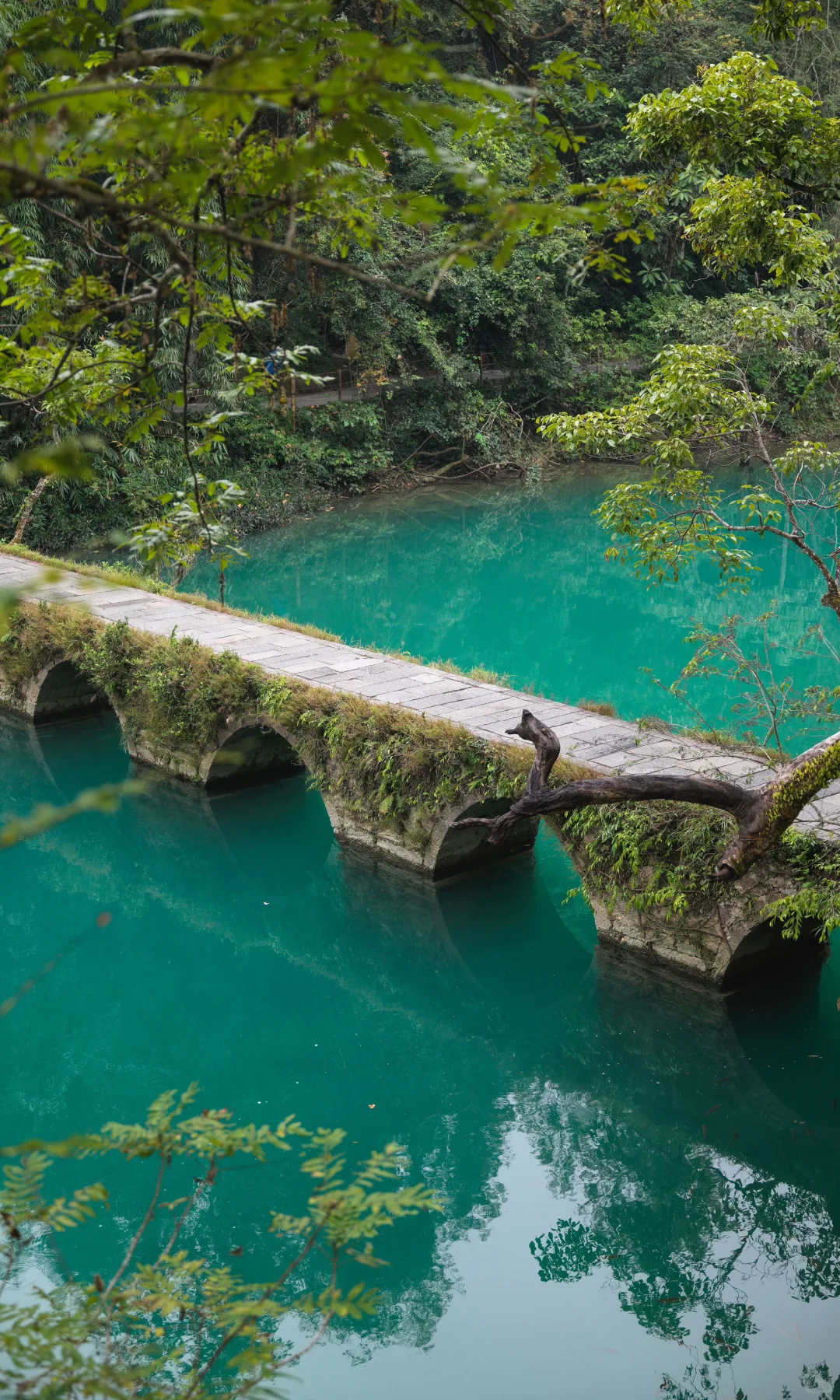 淡季荔波小七孔,人间绿宝石美的实在权威