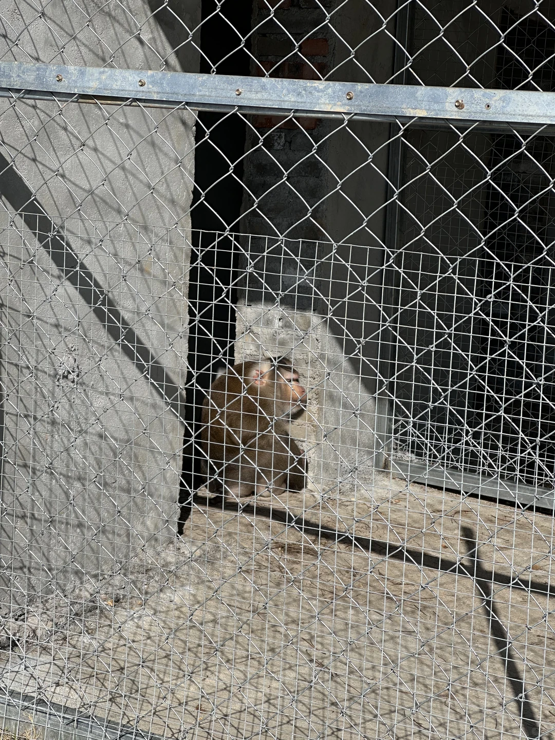 信阳周边游之老乐山