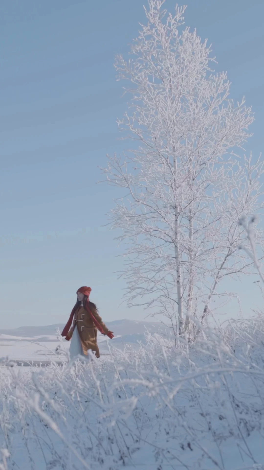 全屏live图打开此刻的内蒙!!!❄️