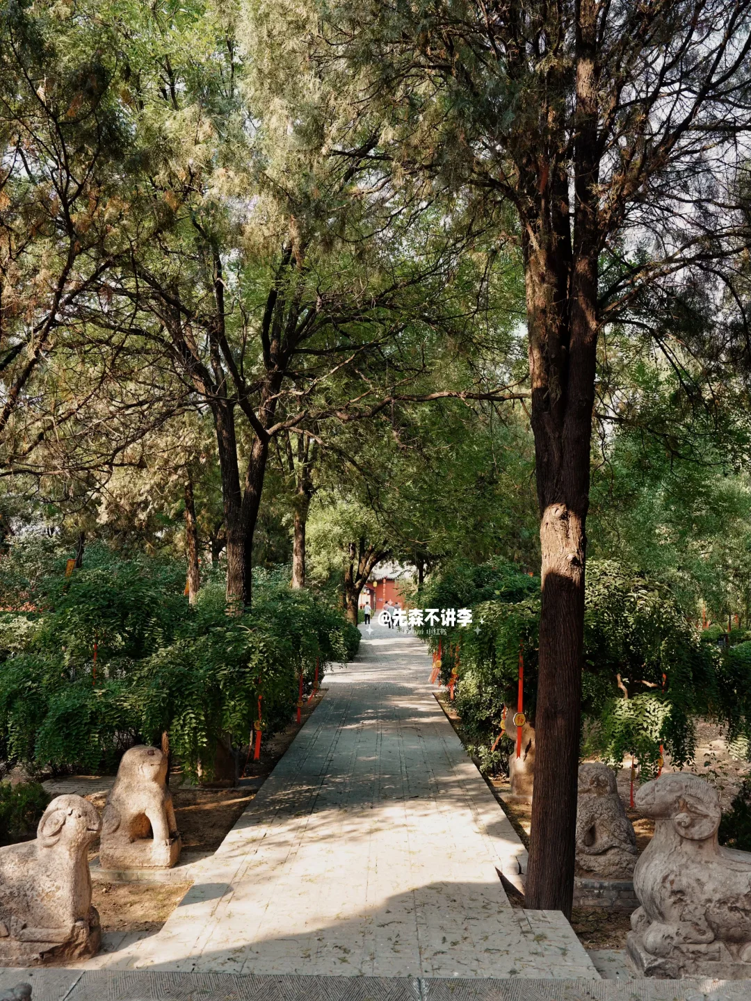 探墓｜原来司马家也是有好人的‼️